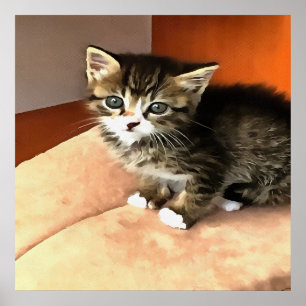 Tabby Cat Kitten Pet Portrait Poster