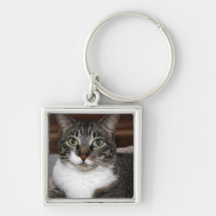 Tabby Cat Looking at You - Discontinued by Me Keychain