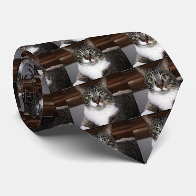 Tabby Cat Looking at You Tie (Rolled)