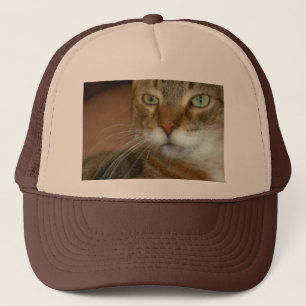 Tabby Cat Love Trucker Hat