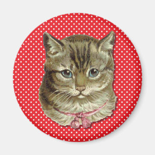 Tabby cat magnet