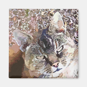 TABBY CAT MAGNET