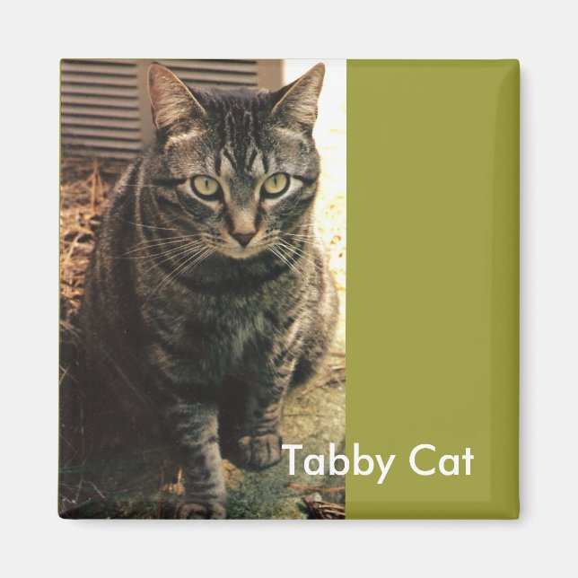 Tabby Cat Magnet retro green (Front)