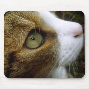 Tabby Cat Mousepad