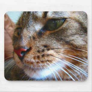 Tabby cat mousepad