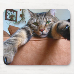 Tabby cat mousepad