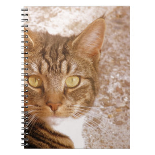 Tabby Cat Notebook