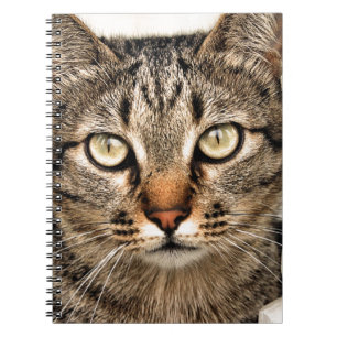 Tabby Cat Notebook