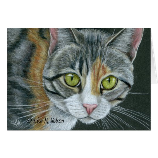 Tabby Cat on Black Card