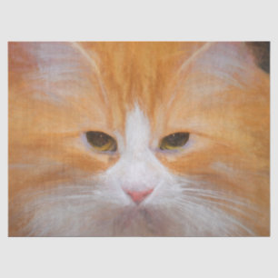 Tabby Cat Orange White Cute Fluffy Beautiful Tissue Paper