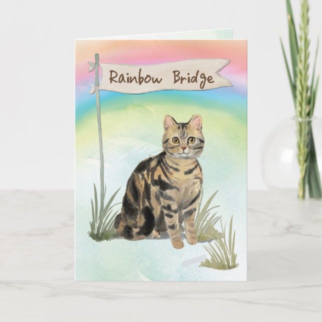 Tabby Cat Pet Sympathy Over Rainbow Bridge Card (Front)