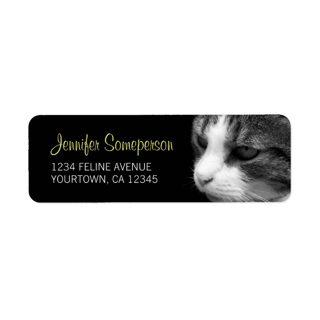Tabby Cat Photograph (Front)