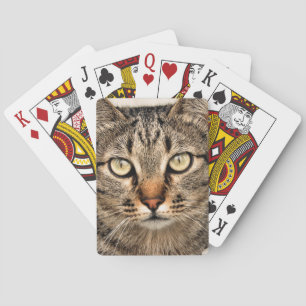 Tabby Cat Playing Cards