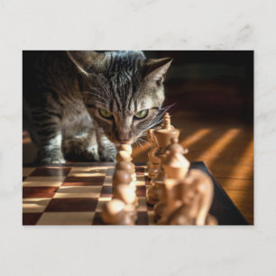 Tabby Cat Playing Chess Postcard