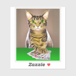 Tabby Cat Playing Poker