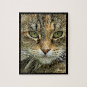 Tabby Cat Portrait Jigsaw Puzzle