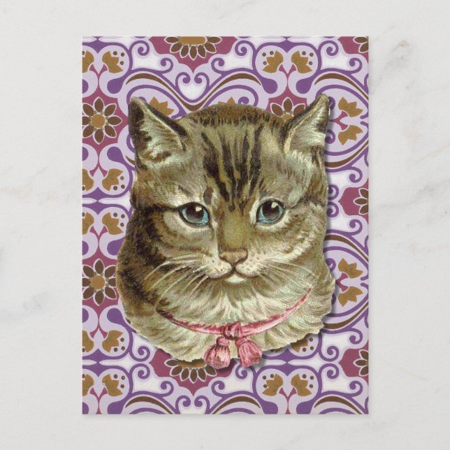 Tabby cat postcard (Front)