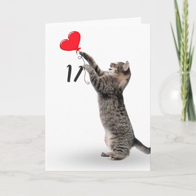 Tabby Cat pour carte 11e anniversaire (Devant)