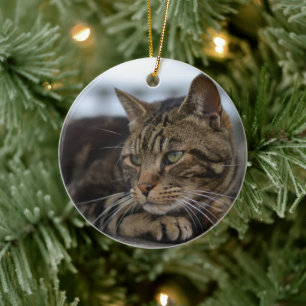 Tabby cat ready for action ceramic ornament