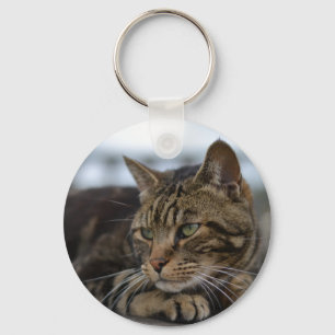 Tabby cat ready for action keychain