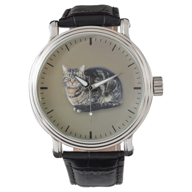 Tabby Cat Sitting Watch (Front)