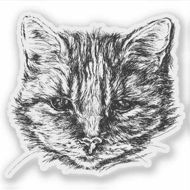 Tabby Cat Sketch (Front)