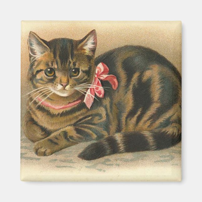"Tabby Cat" Square Magnet (Front)