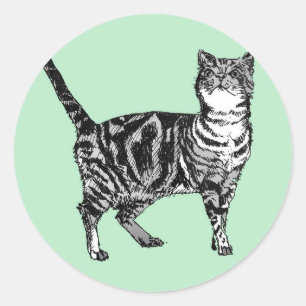 Tabby Cat Stickers Mint Cute cats pets Sticker Set