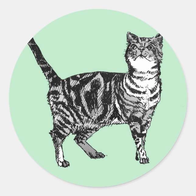 Tabby Cat Stickers Mint Cute cats pets Sticker Set (Front)