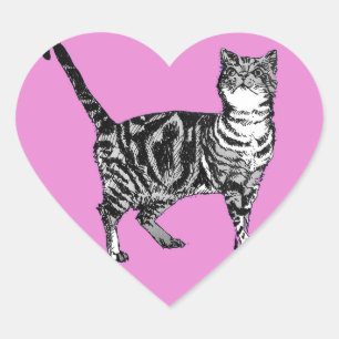 Tabby Cat Stickers Pink Cute cats pets Sticker Set