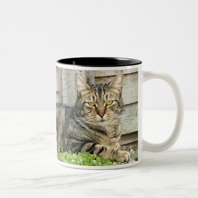 Tabby Cat Two-Tone Coffee Mug (Right)