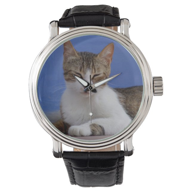 Tabby Cat Watch (Front)