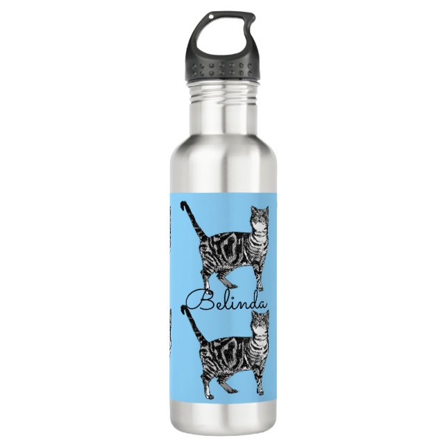 Tabby Cat Whimsical Light Blue Cats 710 Ml Water Bottle (Front)