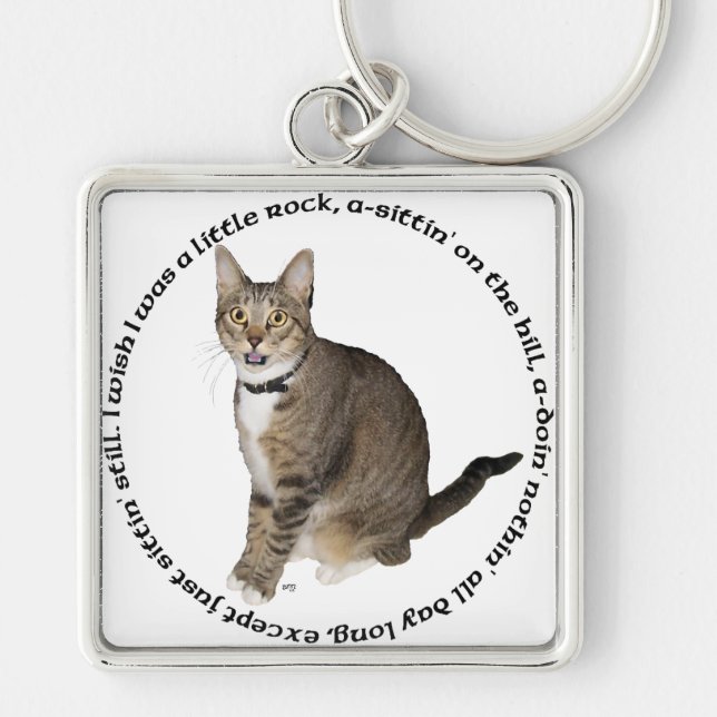 Tabby Cat Wishes Keychain (Front)