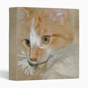 Tabby Cat with Daisy Binder