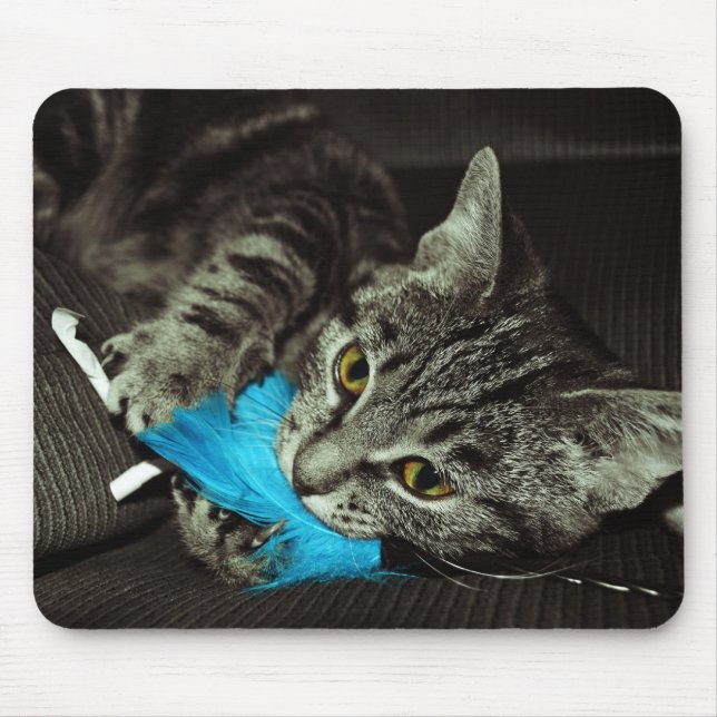 Tabby Cat with Feather by Shirley Taylor Mouse Pad (Front)