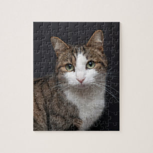 Tabby Cat with Green Eyes against Black Background Jigsaw Puzzle