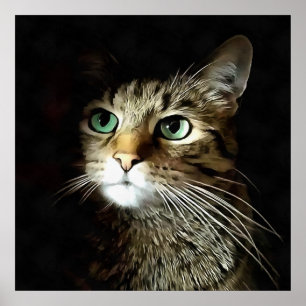 Tabby Cat With Green Eyes Isolated On Black Poster
