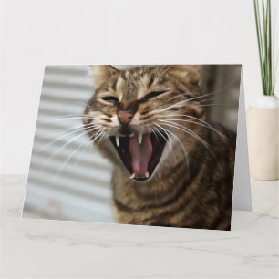 Tabby Cat Yawning Artistic Portrait Thank You Card