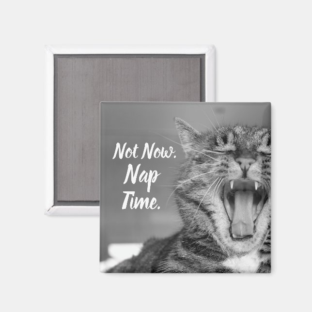 Tabby Cat Yawning, Not Now Nap Time Magnet (Front/Back)