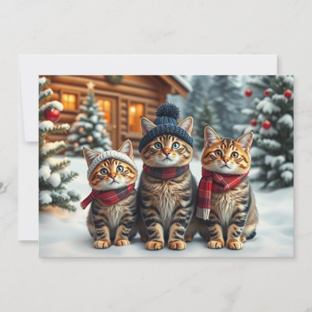 Tabby Cats in Preppy Winter Attire and Hat Winter Holiday Card (Front)