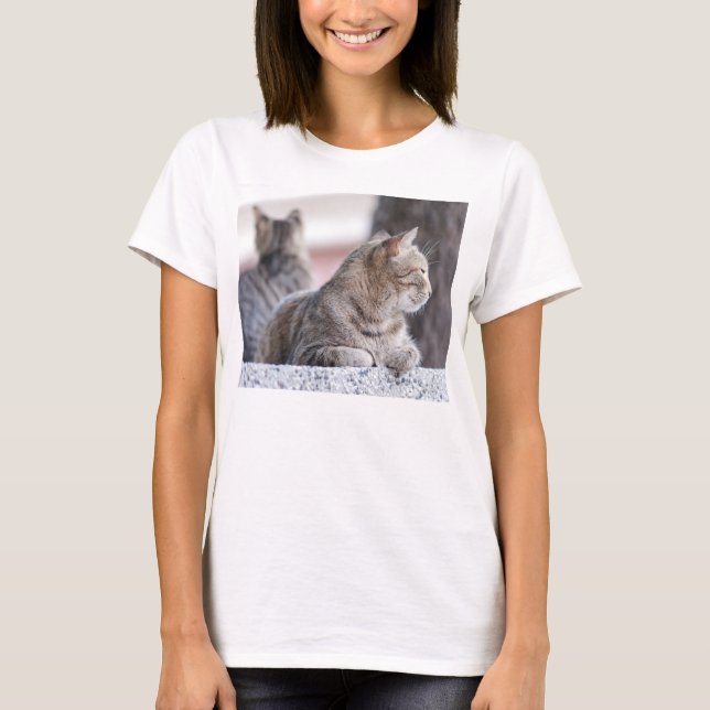 Tabby cats in repose T-Shirt (Front)