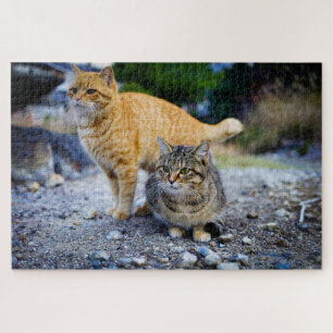 tabby cats puzzle