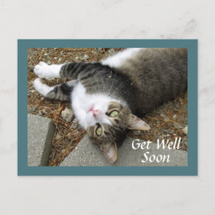 Tabby Chat avec Dreamy Eyes Obtenir Bonne Carte Po
