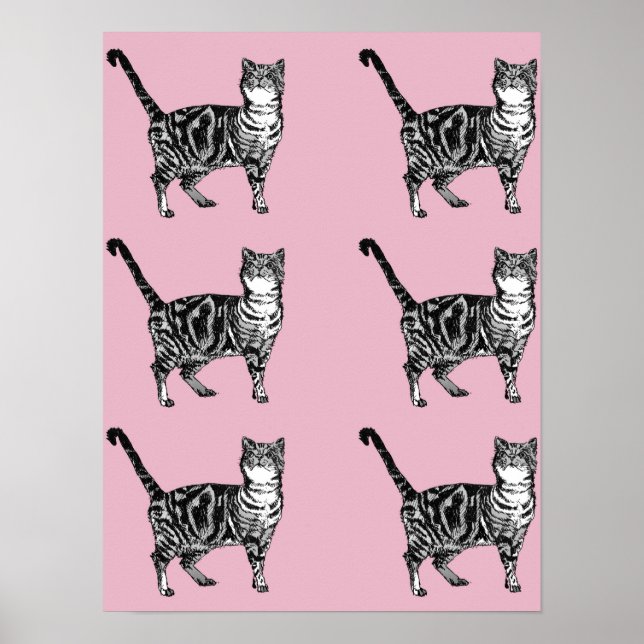 Tabby Chat Chat Tabby Tabby Pins Rose Cute Poster (Devant)