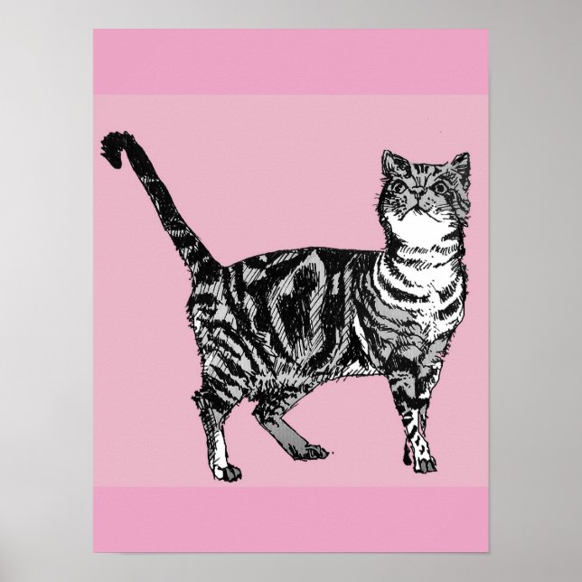 Tabby Chat Chat Tabby Tabby Pins Rose Cute Poster (Devant)
