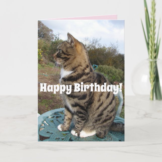 Tabby Chat Cute Striped Chats Bonne Carte Annivers (Devant)