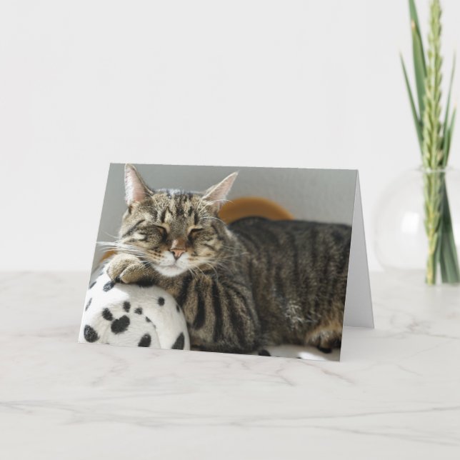 TABBY CHAT "ENFANT" CARTE D'ANNIVERSAIRE POUR TOUS (Devant)