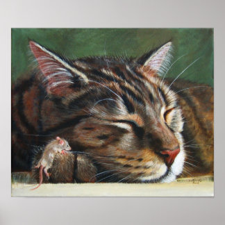 Tabby chat sommeil minuscule souris Poster
