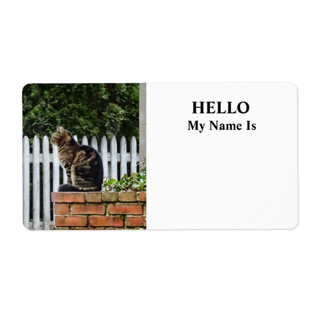 Tabby Chat sur mur de brique (Devant)